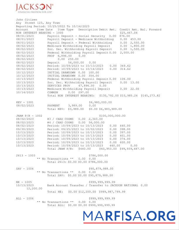 Printable USA Jackson National bank statement word 2 pages example